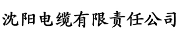 2020ak爱看福利网电缆厂logo